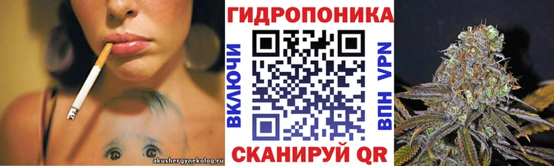 Где купить Великий Новгород Гашиш  Кокаин  МЕФ 