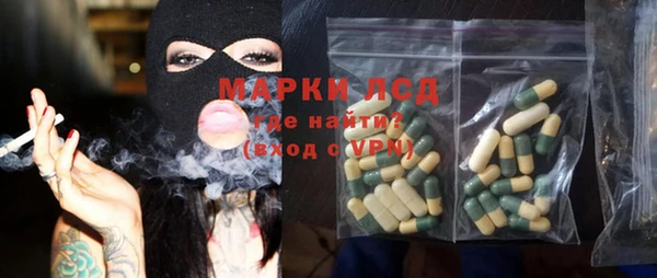 крисы Мегион