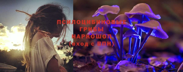 apvp Медногорск