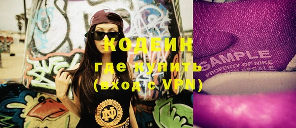 крисы Мегион