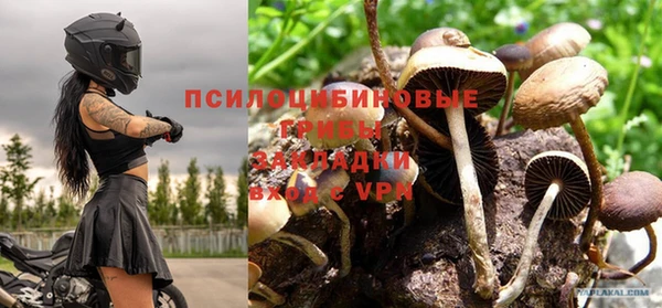 не бодяженный Медвежьегорск