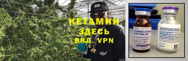 крисы Мегион