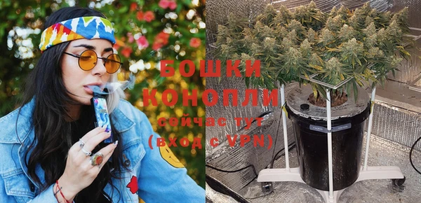 PSILOCYBIN Долгопрудный