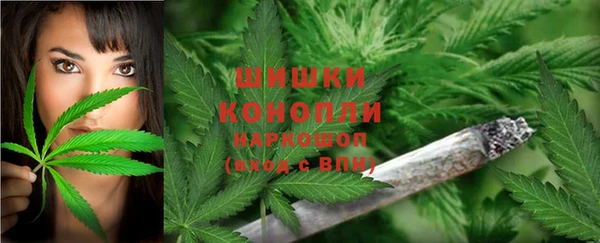 крисы Мегион