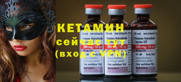 крисы Мегион
