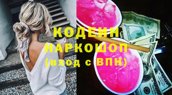 крисы Мегион