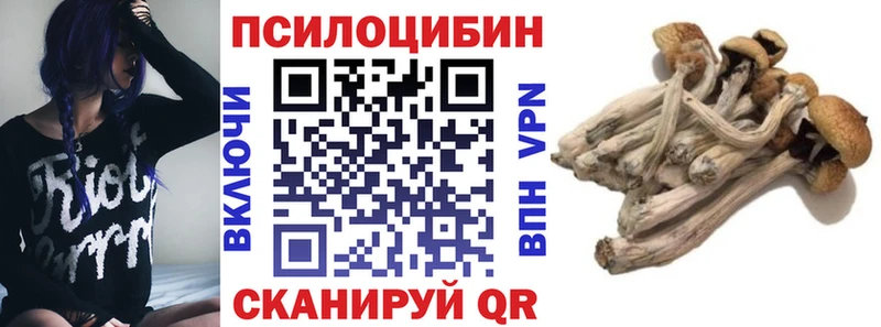 купить  сайты  Великий Новгород  hydra ссылка  Псилоцибиновые грибы ЛСД 