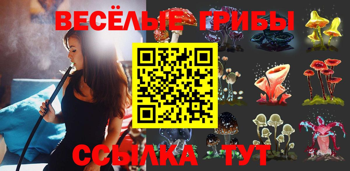 Псилоцибиновые грибы MAGIC MUSHROOMS Великий Новгород