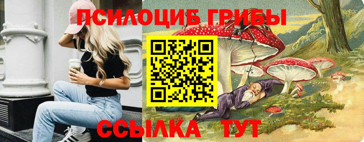 Псилоцибиновые грибы GOLDEN TEACHER Великий Новгород