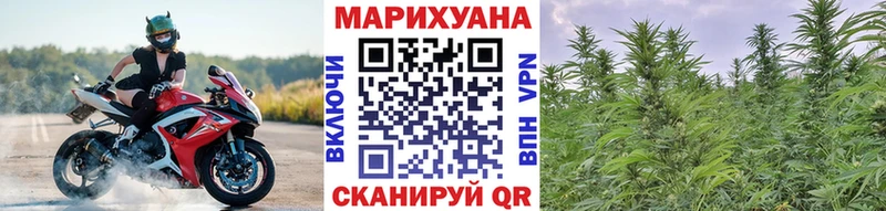 Бошки марихуана марихуана  Великий Новгород 