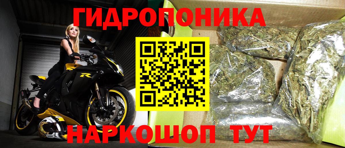 Великий Новгород  Канабис OG Kush  Каннабис семена  МАРИХУАНА индика  Вход с VPN 